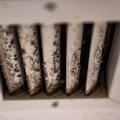 Is Black Mold in Air Vents Dangerous? - A Comprehensive Guide