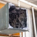 Is Mold in Air Ducts Common? An Expert's Guide